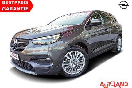 Opel Grandland (X) Gebrauchtwagen