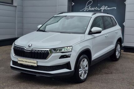 Skoda Karoq Gebrauchtwagen