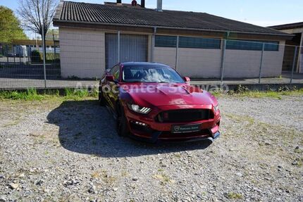 Ford Mustang Gebrauchtwagen