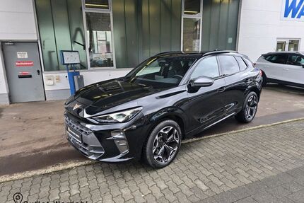 Cupra Terramar Gebrauchtwagen