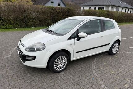 Fiat Punto Gebrauchtwagen