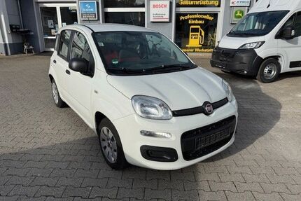 Fiat Panda Gebrauchtwagen