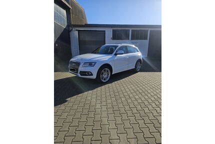 Audi Q5 Gebrauchtwagen