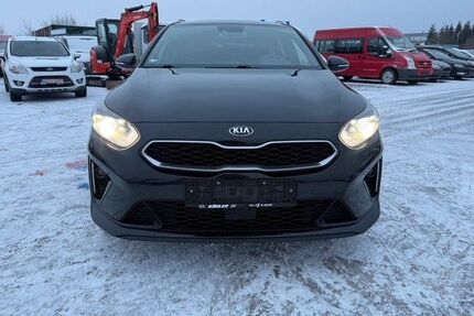 Kia ceed / Ceed Gebrauchtwagen