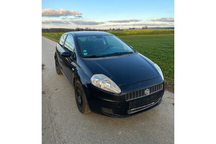 Fiat Punto Gebrauchtwagen