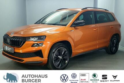 Skoda Karoq Gebrauchtwagen