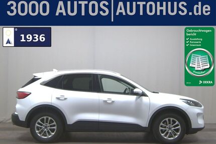 Ford Kuga Gebrauchtwagen