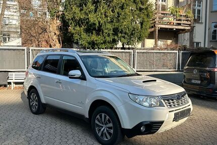 Subaru Forester Gebrauchtwagen