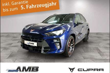 Cupra Terramar Gebrauchtwagen