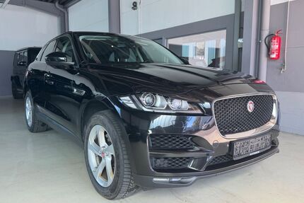 Jaguar F-Pace Gebrauchtwagen
