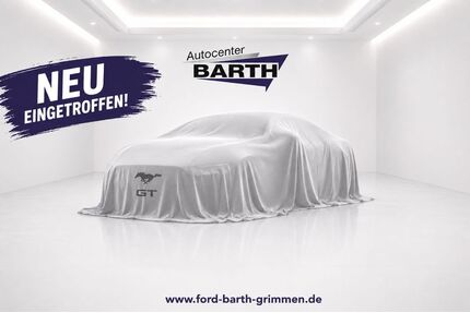 Ford Mustang Gebrauchtwagen