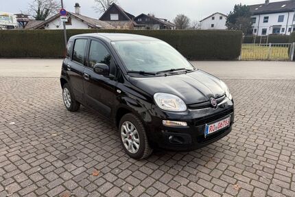 Fiat Panda Gebrauchtwagen