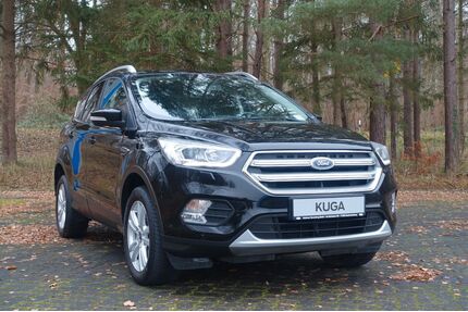 Ford Kuga Gebrauchtwagen