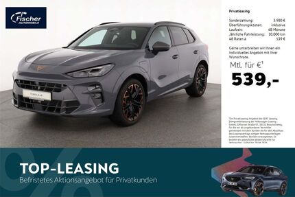 Cupra Terramar Gebrauchtwagen