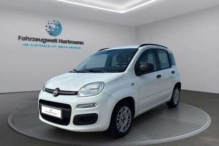 Fiat Panda Gebrauchtwagen