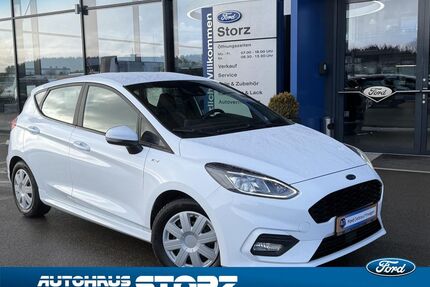 Ford Fiesta Gebrauchtwagen