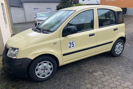 Fiat Panda Gebrauchtwagen