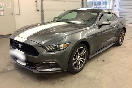 Ford Mustang Gebrauchtwagen