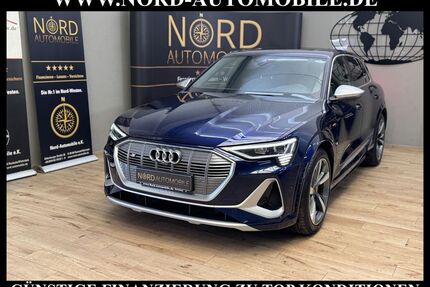Audi e-tron Gebrauchtwagen