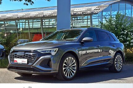 Audi Q8 e-tron Gebrauchtwagen
