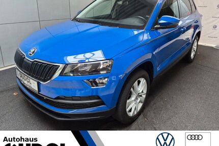 Skoda Karoq Gebrauchtwagen