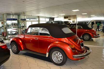 VW Käfer Gebrauchtwagen