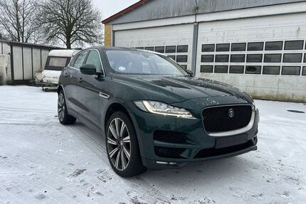 Jaguar F-Pace Gebrauchtwagen
