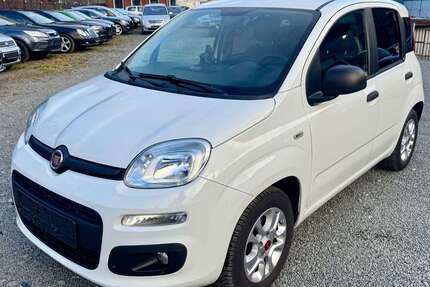 Fiat Panda Gebrauchtwagen