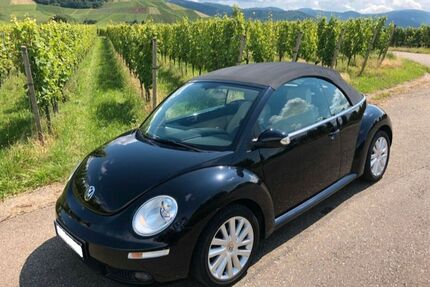 Bentley New Beetle 
