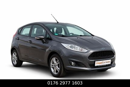 Ford Fiesta Gebrauchtwagen