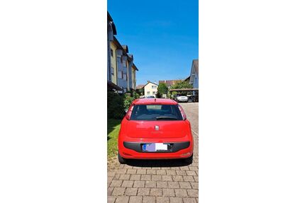 Fiat Punto Gebrauchtwagen