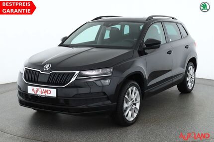 Skoda Karoq Gebrauchtwagen