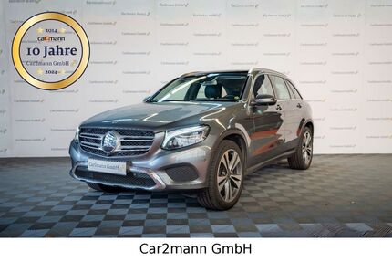 Mercedes-Benz GLC 250 Gebrauchtwagen