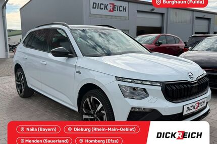 Skoda Kamiq Gebrauchtwagen