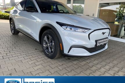 Ford Mustang Mach-E Gebrauchtwagen