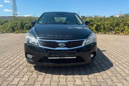 Kia ceed / Ceed Gebrauchtwagen