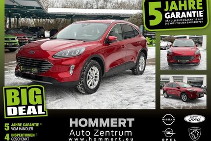Ford Kuga Gebrauchtwagen