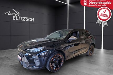 Cupra Terramar Gebrauchtwagen