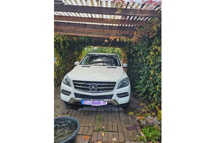 Mercedes-Benz ML 350 Gebrauchtwagen
