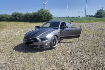 Ford Mustang Gebrauchtwagen