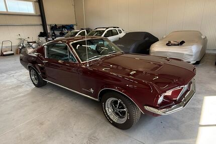 Ford Mustang Gebrauchtwagen