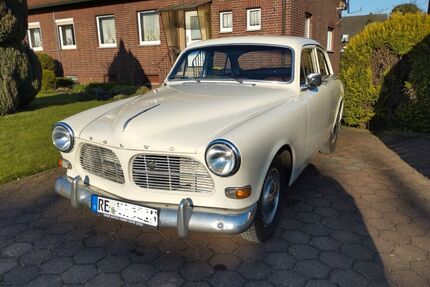 Volvo Amazon Gebrauchtwagen