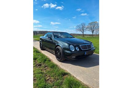 Mercedes-Benz CLK 430 Gebrauchtwagen