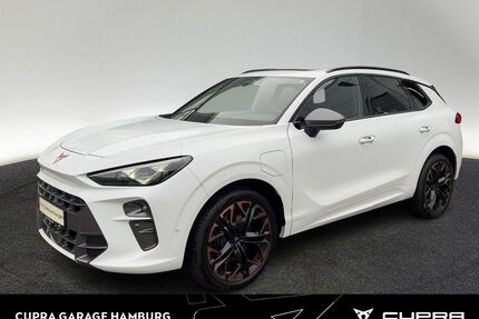 Cupra Terramar Gebrauchtwagen