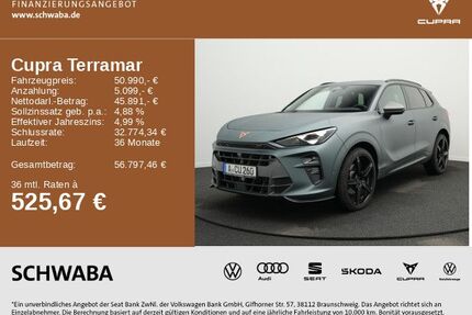 Cupra Terramar Gebrauchtwagen
