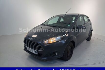Ford Fiesta Gebrauchtwagen