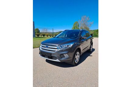 Ford Kuga Gebrauchtwagen