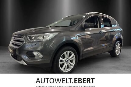 Ford Kuga Gebrauchtwagen