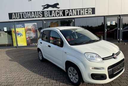 Fiat Panda Gebrauchtwagen