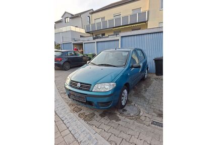 Fiat Punto Gebrauchtwagen